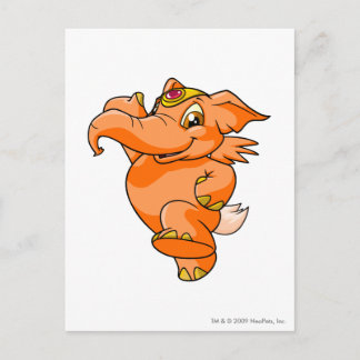 Cartão Postal Elephante Orange