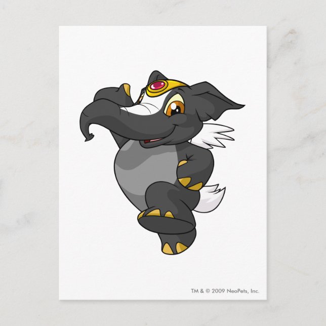 Cartão Postal Elephante Skunk (Frente)