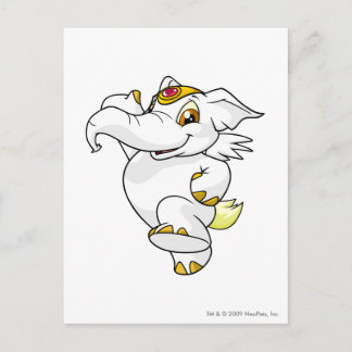 Cartão Postal Elephante White