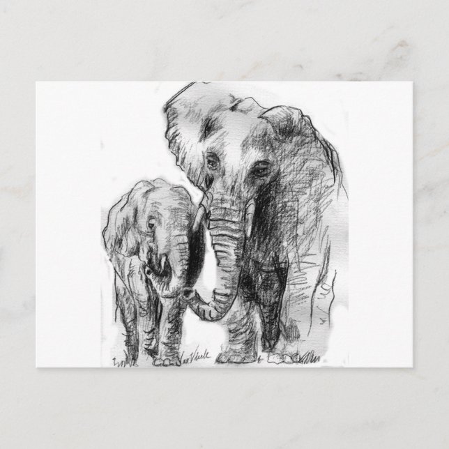 Cartão Postal elephantonajourney (Frente)
