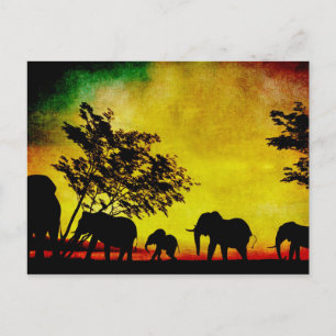 Cartão Postal Elephants Sunset