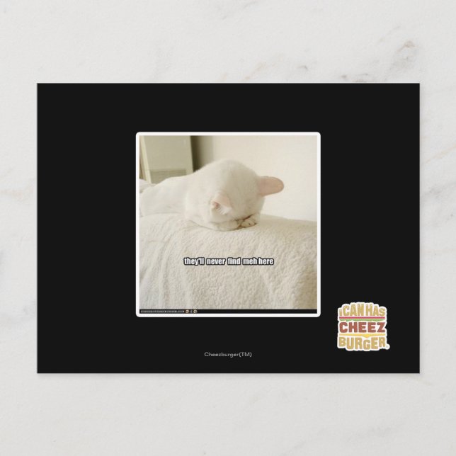 Cartão Postal eles nunca me encontrarão aqui (Frente)