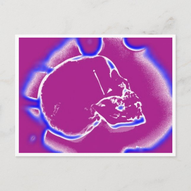 Cartão Postal eletricildskull (Frente)