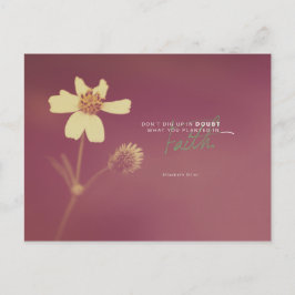 Cartão Postal Elisabeth Elliot - Plantada na Fé