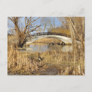 Cartão Postal Elizabeth Park, Trenton, Michigan