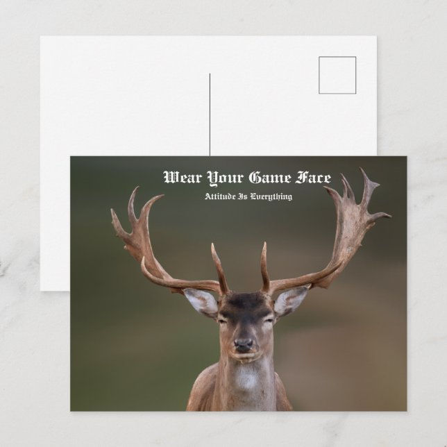 Cartão Postal Elk (Frente/Verso)