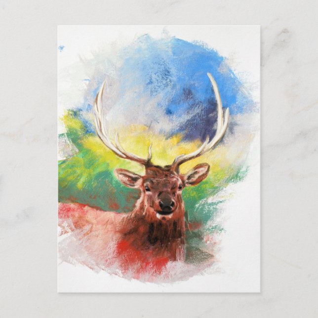 Cartão Postal Elk (Frente)