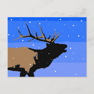 Cartão Postal Elk Bugling no inverno - Arte original sobre a vid