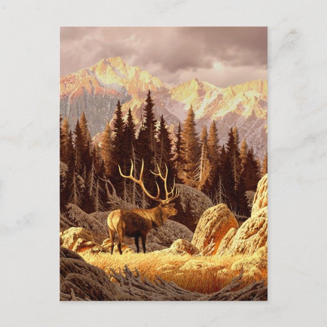 Cartão Postal Elk Bull (Frente)