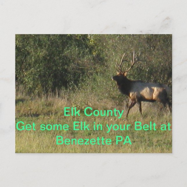 Cartão Postal Elk County Benezette PA (Frente)