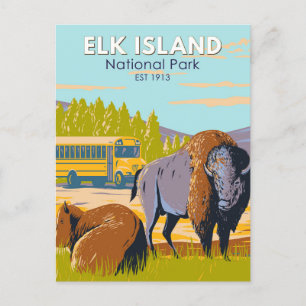 Cartão Postal Elk Island National Park Canada Bison Vintage