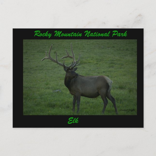 Cartão Postal Elk, Milner Pass (Frente)