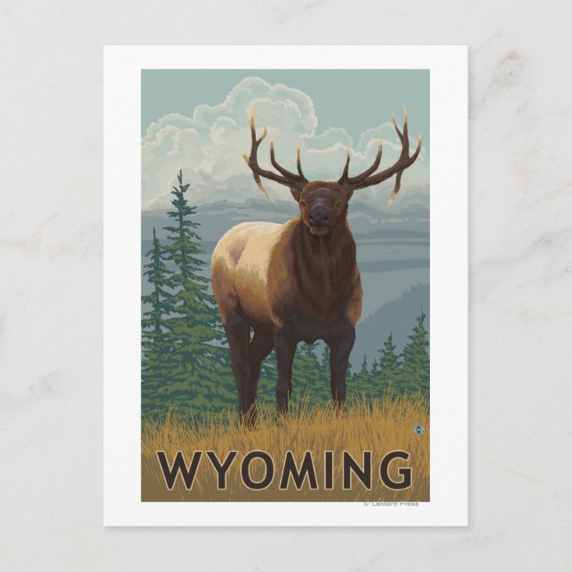 Cartão Postal Elk SceneWyoming (Frente)