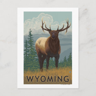 Cartão Postal Elk SceneWyoming