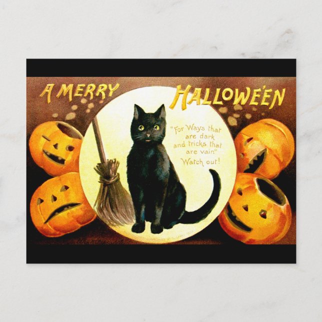 Cartão Postal Ellen H. Palheta: Halloween Cat (Frente)