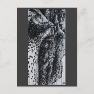 Cartão Postal Ellie Elephant Asian Willife Jungle Art