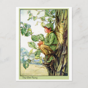 Cartão Postal Elm Tree Fairy