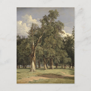 Cartão Postal Elm tree in Prater, 1831