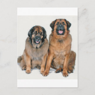 Cartão Postal Elsa & Wellington