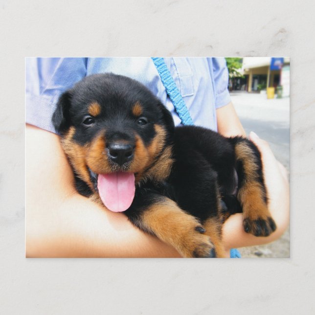 Cartão Postal Em Boas Mãos (Frente)