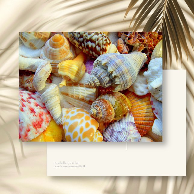 Cartão Postal em Branco com Imagem Colorida de Con (Criador carregado)