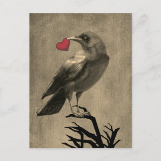 Cartão postal em branco de amor de corvo