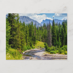 Cartão Postal em Branco do Rio North Fork Shoshone