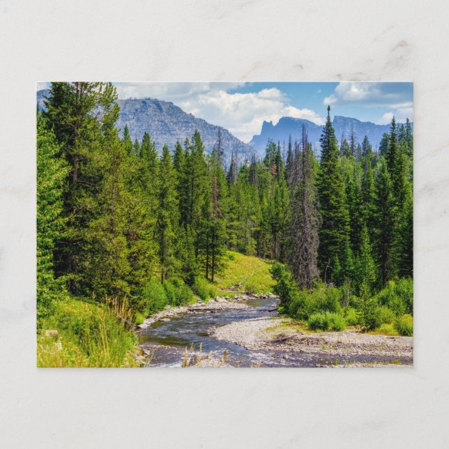 Cartão Postal em Branco do Rio North Fork Shoshone (Frente)