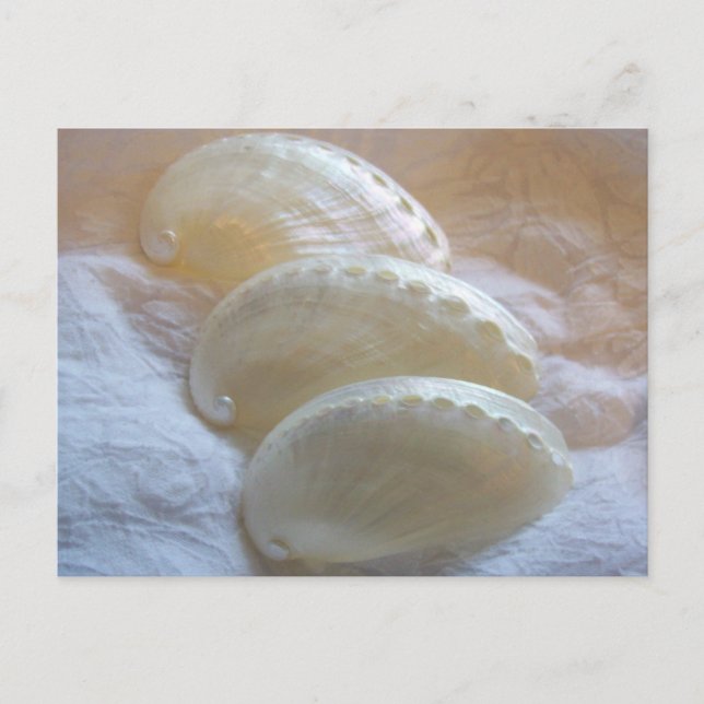 Cartão Postal Em cada espiral delicada (Frente)