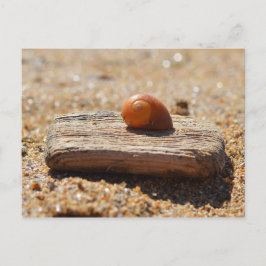 Cartão Postal Em Casa Na Praia