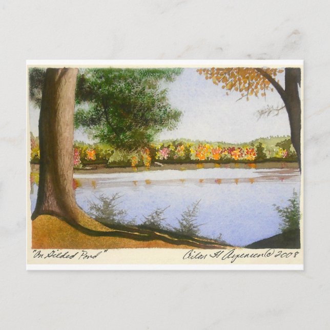 Cartão Postal Em Gilded Pond (Frente)