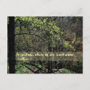 Cartão Postal Em solidão...