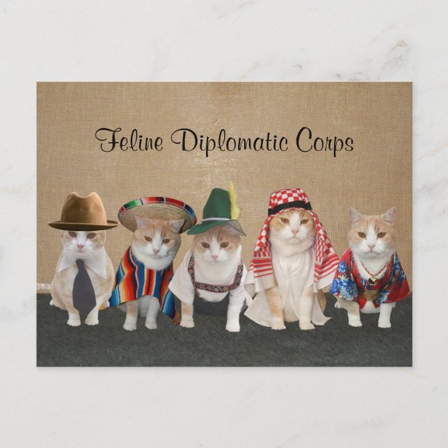 Cartão Postal Embaixadores gatinhos (Frente)