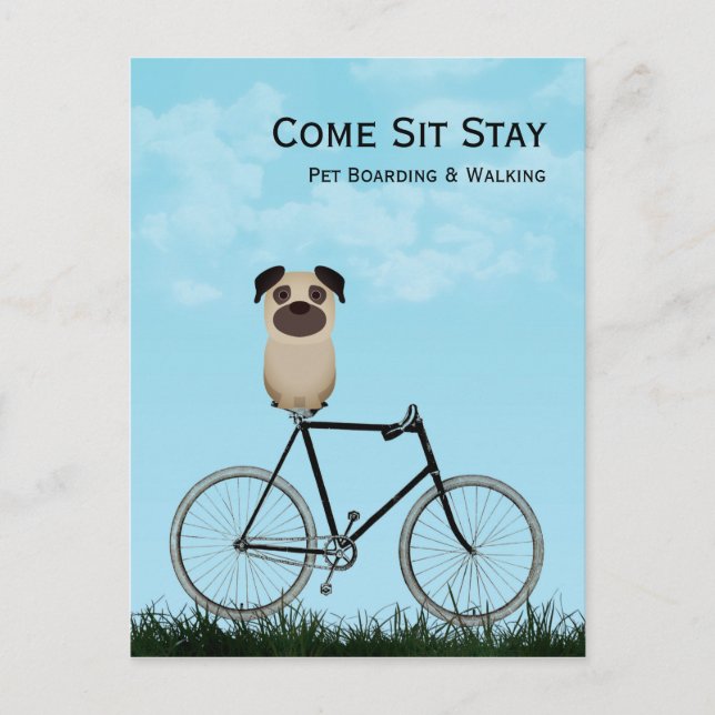 Cartão Postal Embarque De Cães, Caminho, Sessão, Formação Profis (Frente)