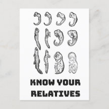 Embriogênese Evolutiva