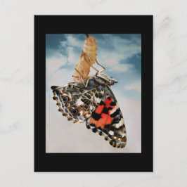 Cartão Postal Emergência