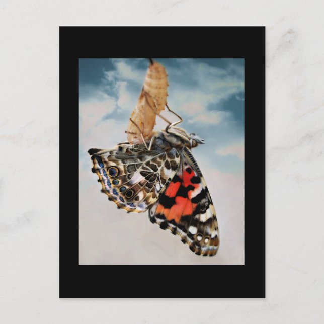 Cartão Postal Emergência (Frente)