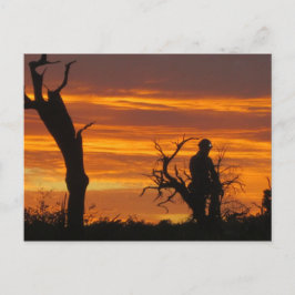 Cartão Postal Emergência ao pôr do sol