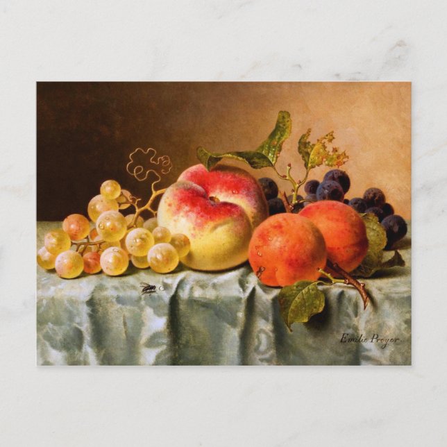 Cartão Postal Emilie Preyer: Frutas com a Fly (Frente)