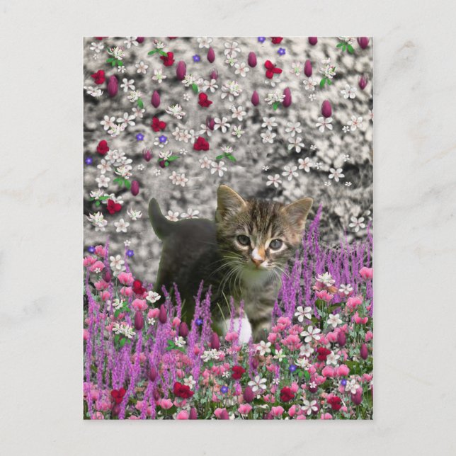 Cartão Postal Emma em Flores I – Pequeno Gato Cinza Gatinho (Frente)