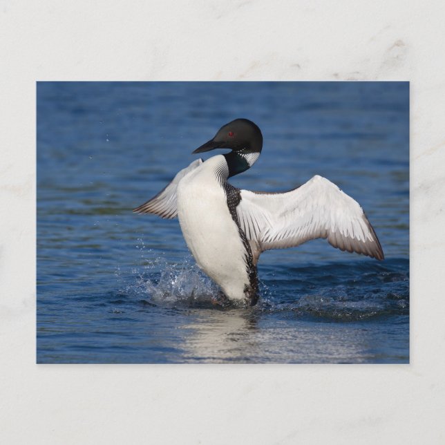 Cartão Postal Empréstimo IV (Frente)