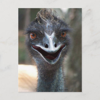 Cartão Postal Emu dizendo "OI"! Abrir imagem de grandes olhos ca