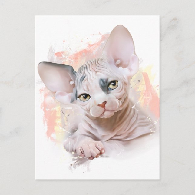 Cartão Postal Encantamento (Frente)