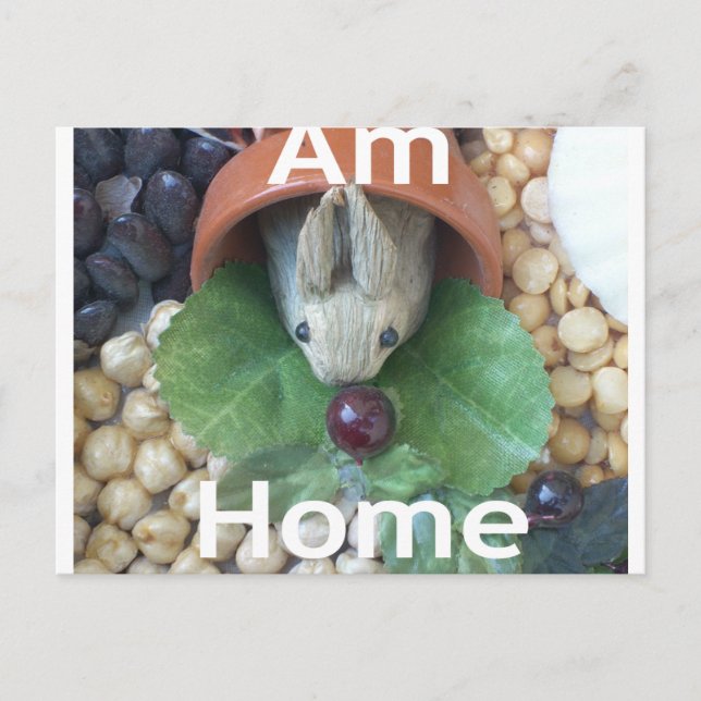 Cartão Postal Encantamento de coelho bonito (Frente)