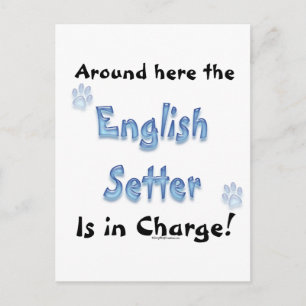 Cartão Postal Encargo do Setter Inglês