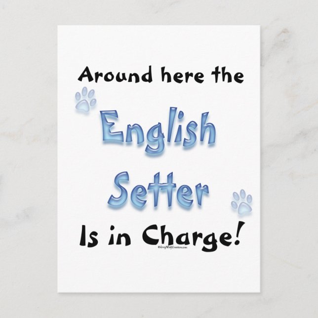 Cartão Postal Encargo do Setter Inglês (Frente)
