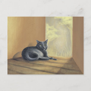 Cartão Postal Encontrado Na Natureza