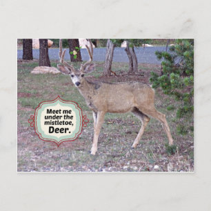 Cartão Postal Encontre-me sob a Mistura