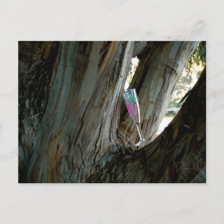 Cartão Postal Encontre o lugar e o tempo perfeitos para o vinho