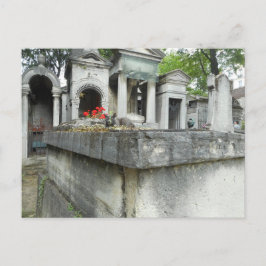 Cartão Postal Encontre um Gato!